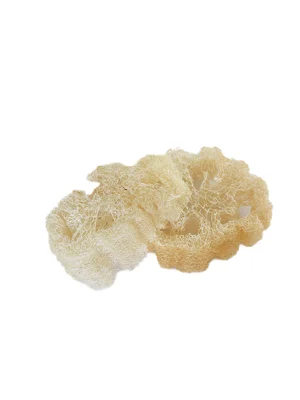 Loofah naturel gommage naturel corps salle de bain zéro déchet écoresponsable Les Jolis Baumes