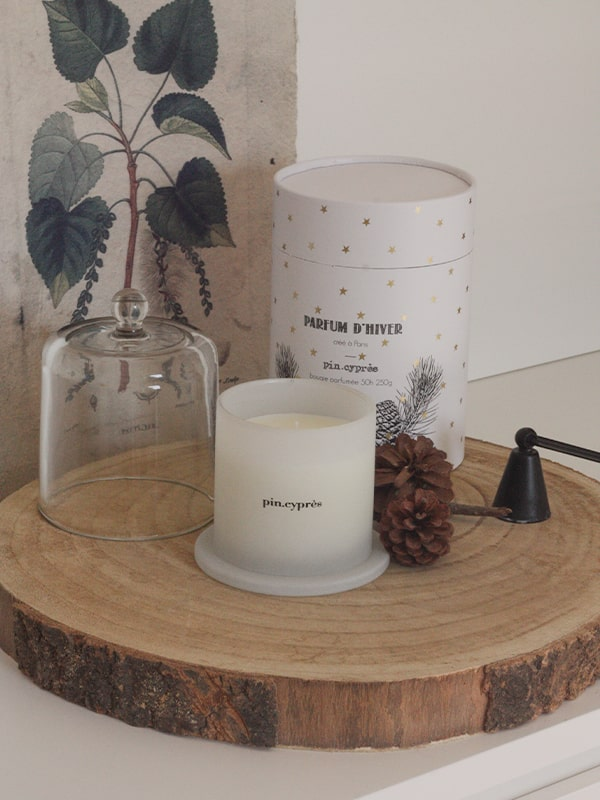 Bougie Hiver pin-cyprès