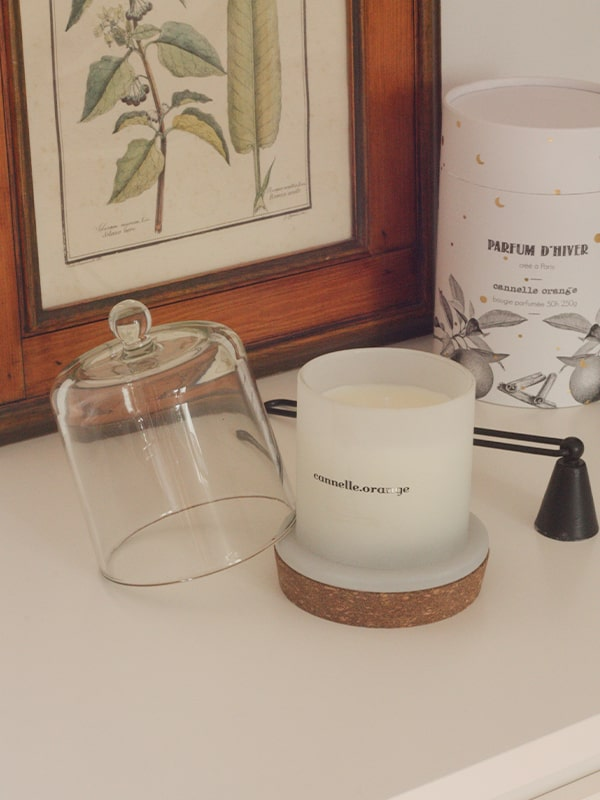 Bougie Hiver pin-cyprès