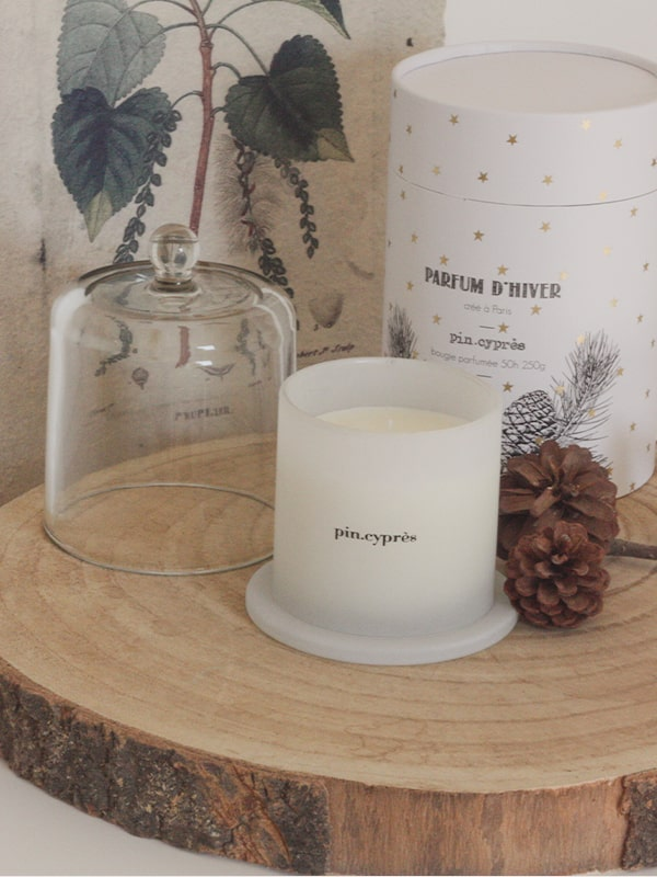 Bougie Hiver pin-cyprès